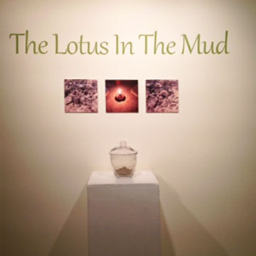Lotus in the Mud